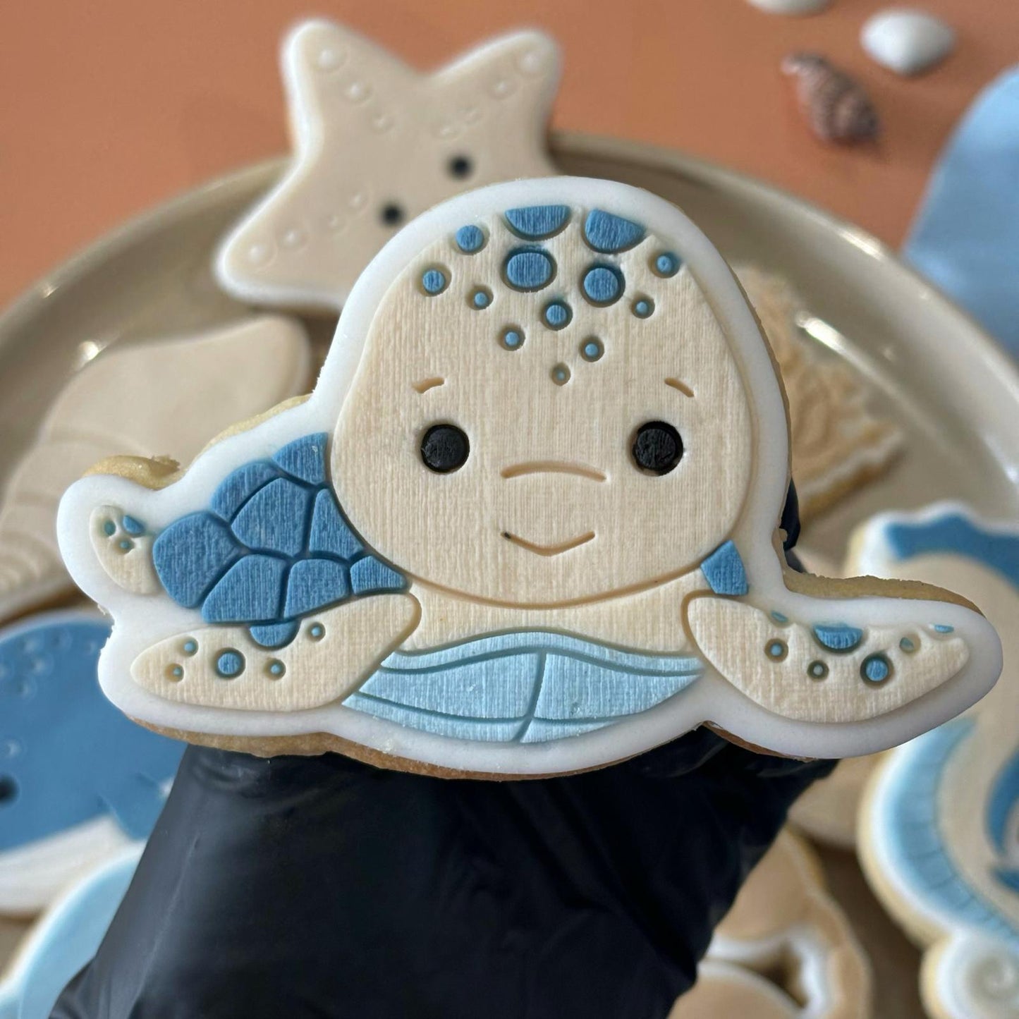 #19 - Sea Turtle
