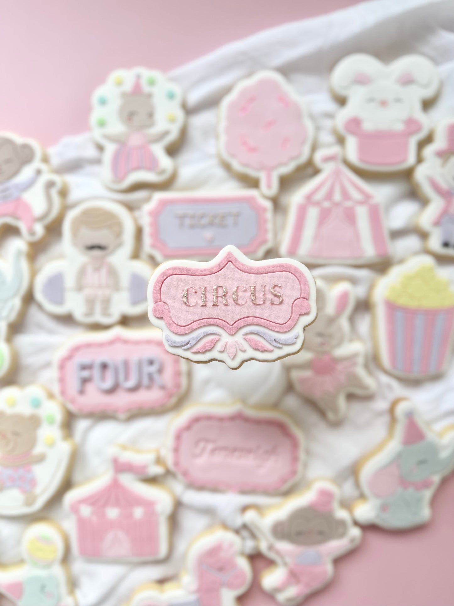 #30 - Circus