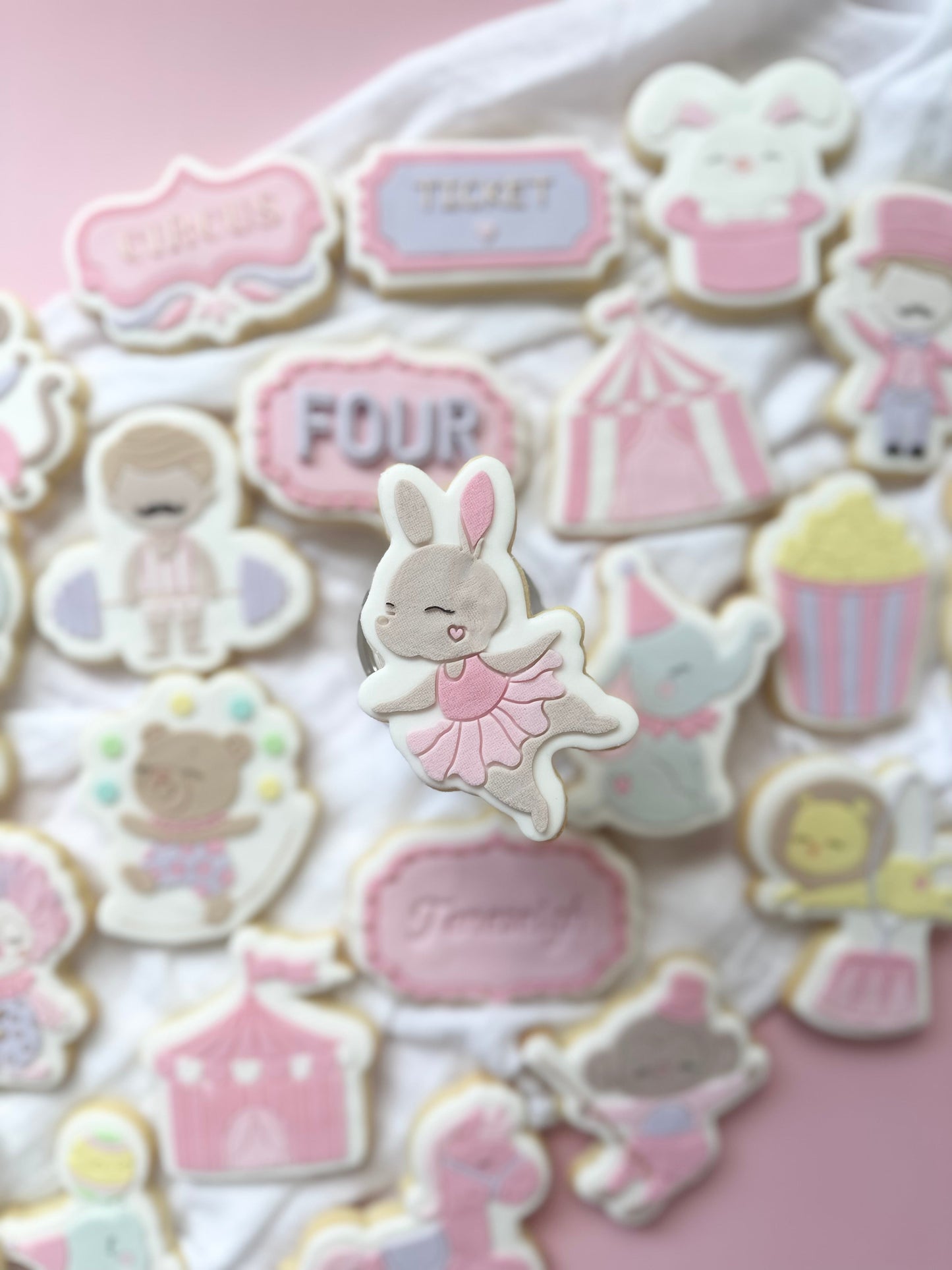 #17 - Lapin Ballerine