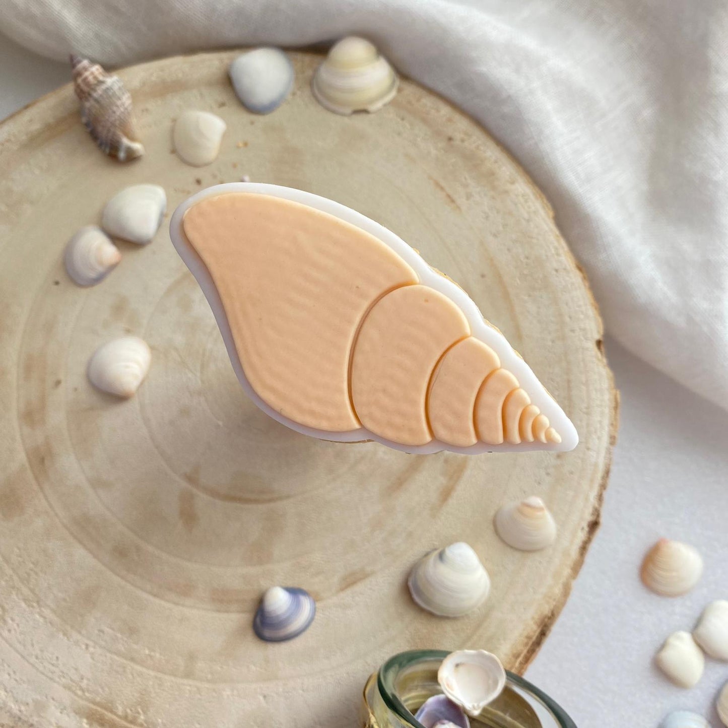 #12 - Coquillage #02