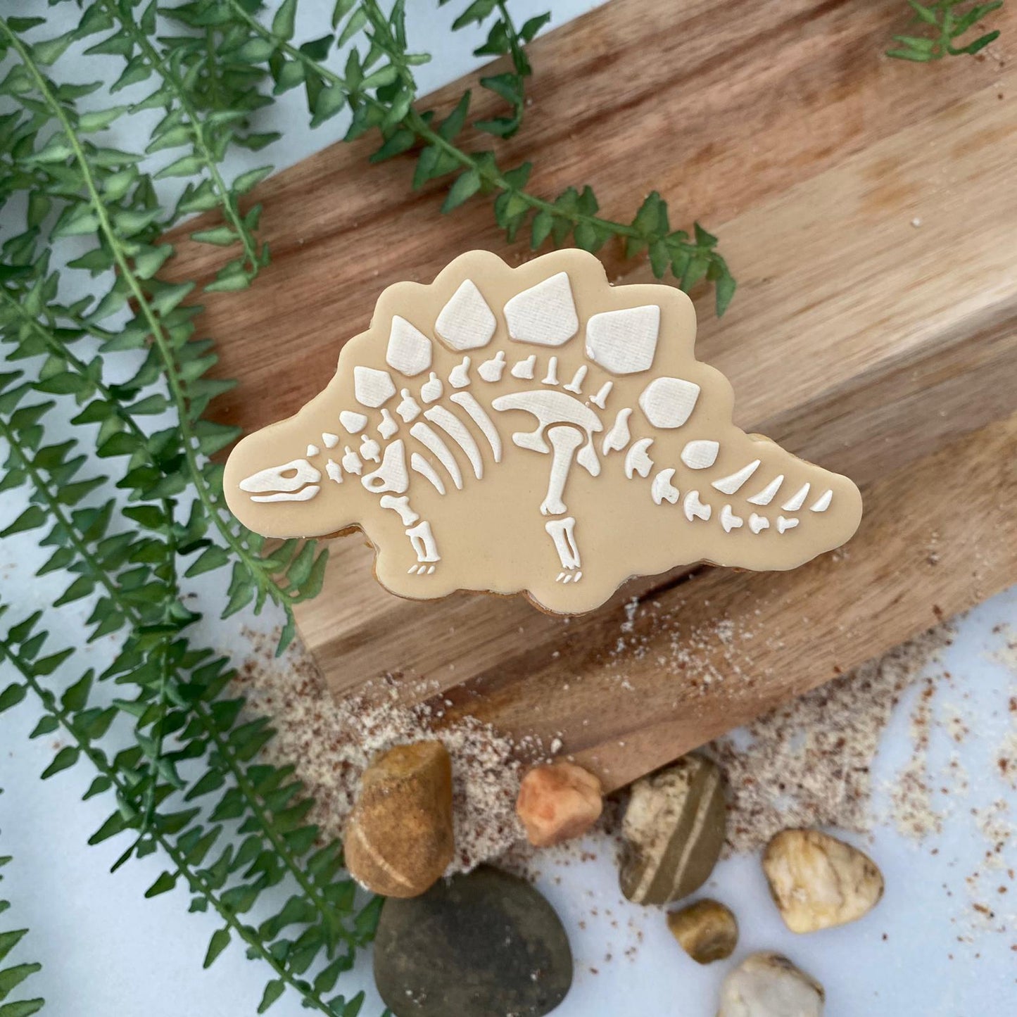 #03 - Stégosaurus Squelettique