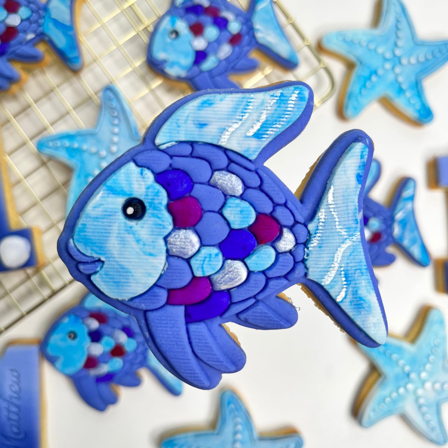 #02 - Poisson Arc-en-ciel