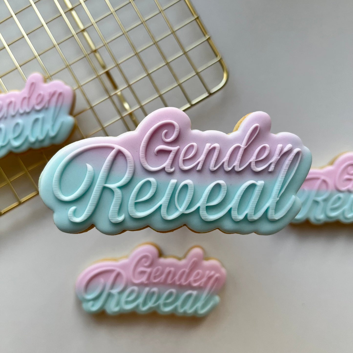 BABY #011 - Gender Reveal