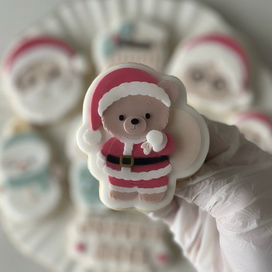 #167 - Teddy Bear with Gift Bag