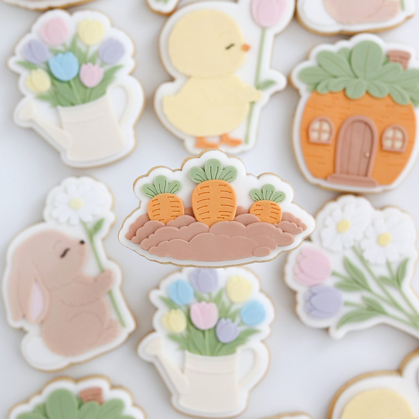 #114 - Carottes