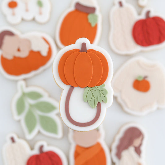 #01 - Hochet Citrouille