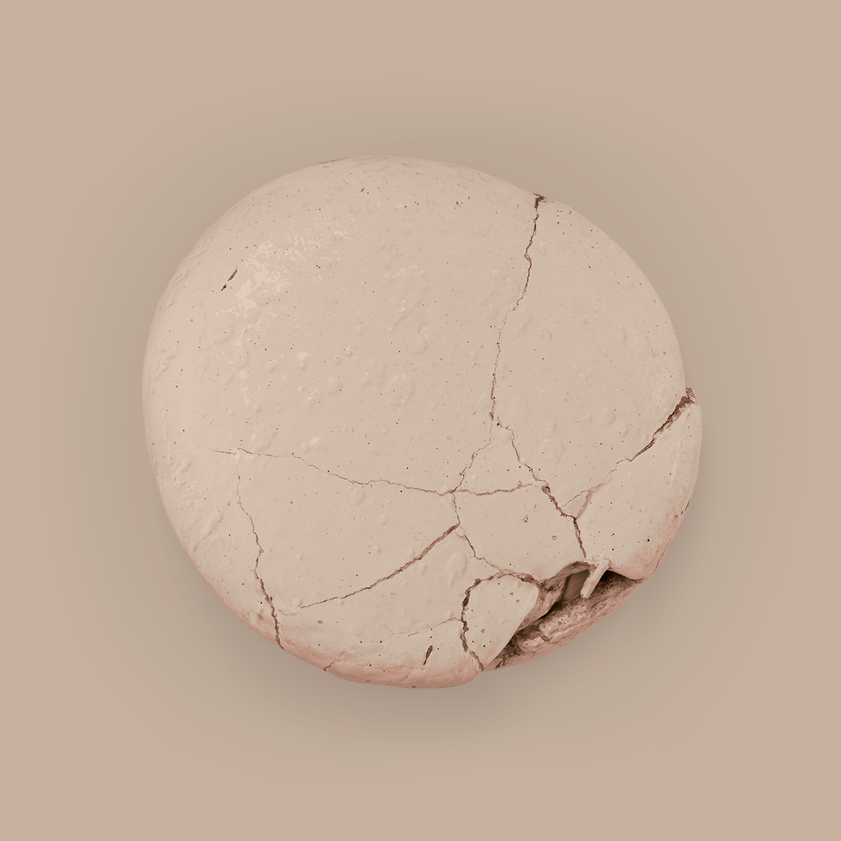 Latte - Aqua Blend