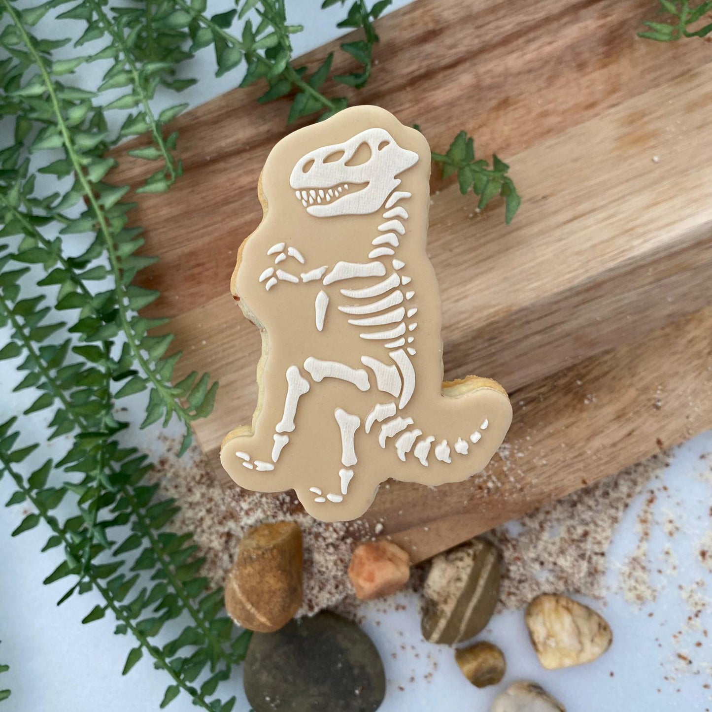 #01 - T-Rex Squelettique