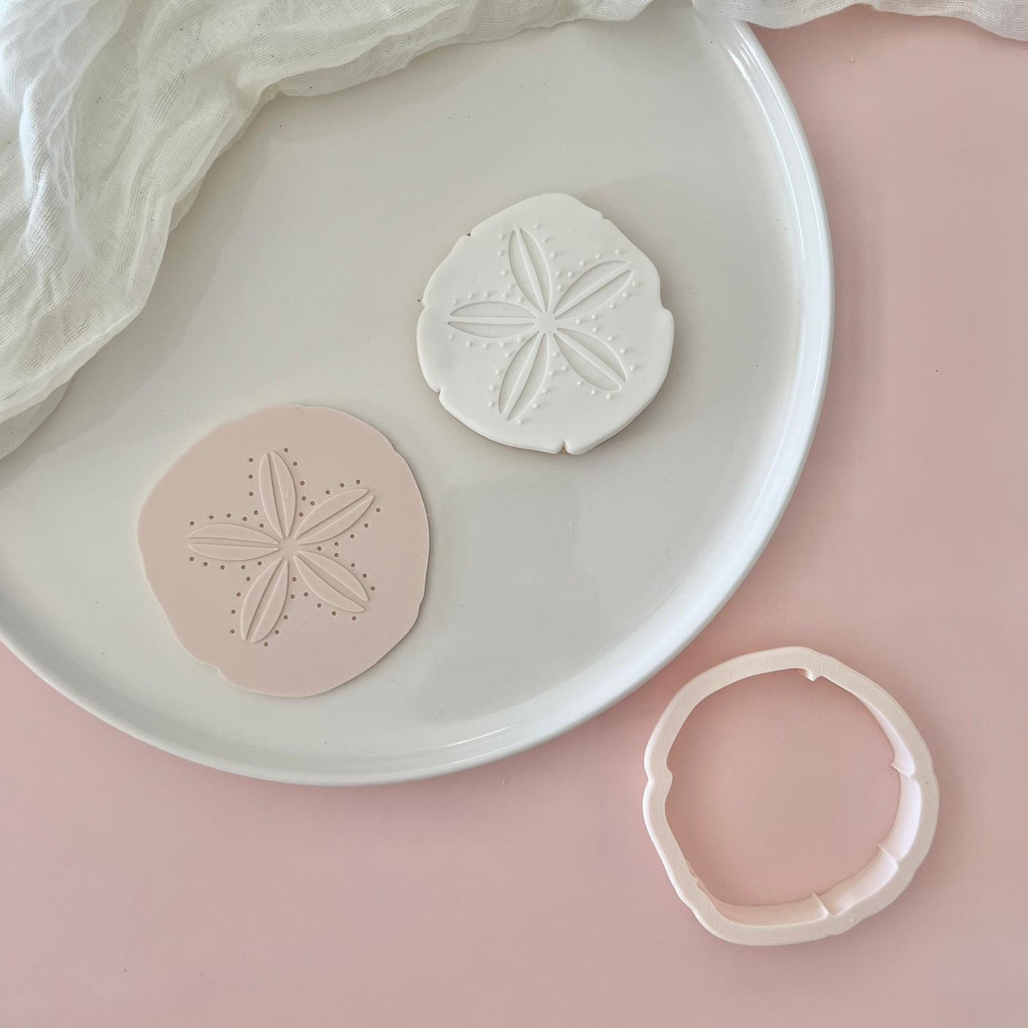 #28 - Dollar des Sables