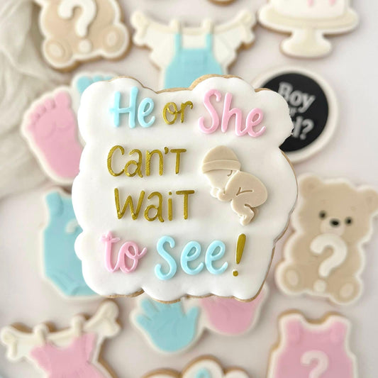 BABY #108 - He or She