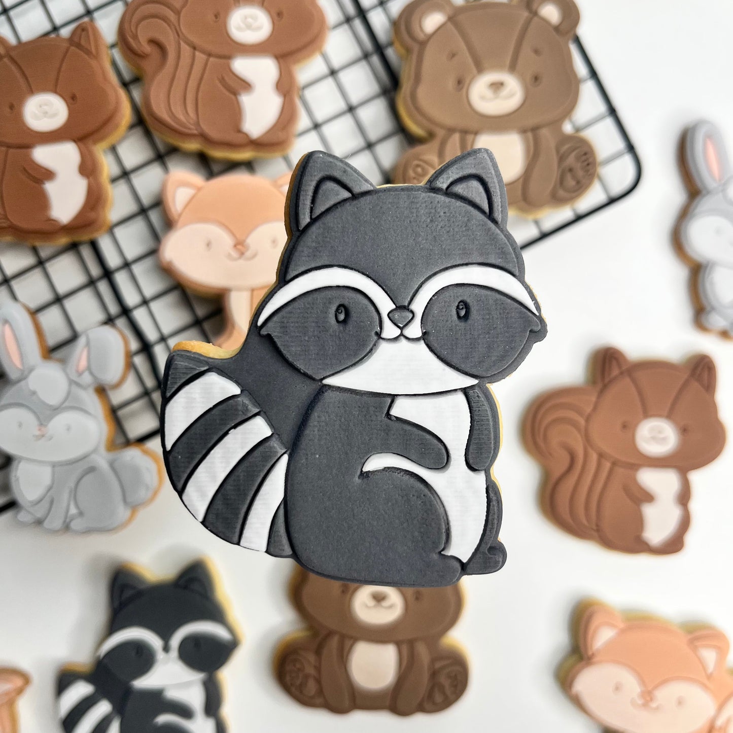 #05 - Raccoon