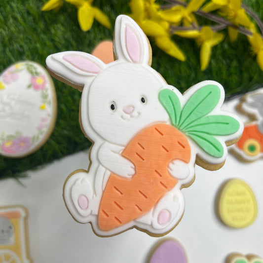 #002 - Bunny with Carrot