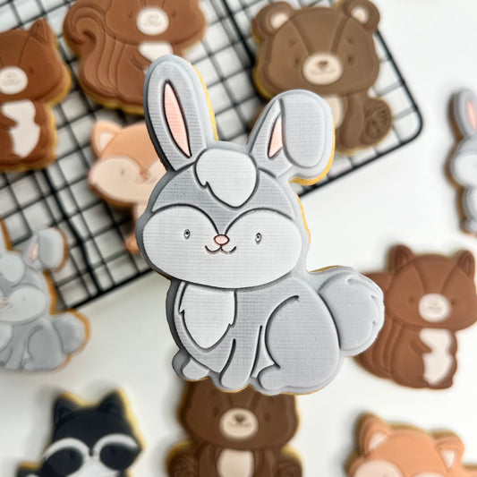 #02 - Lapin