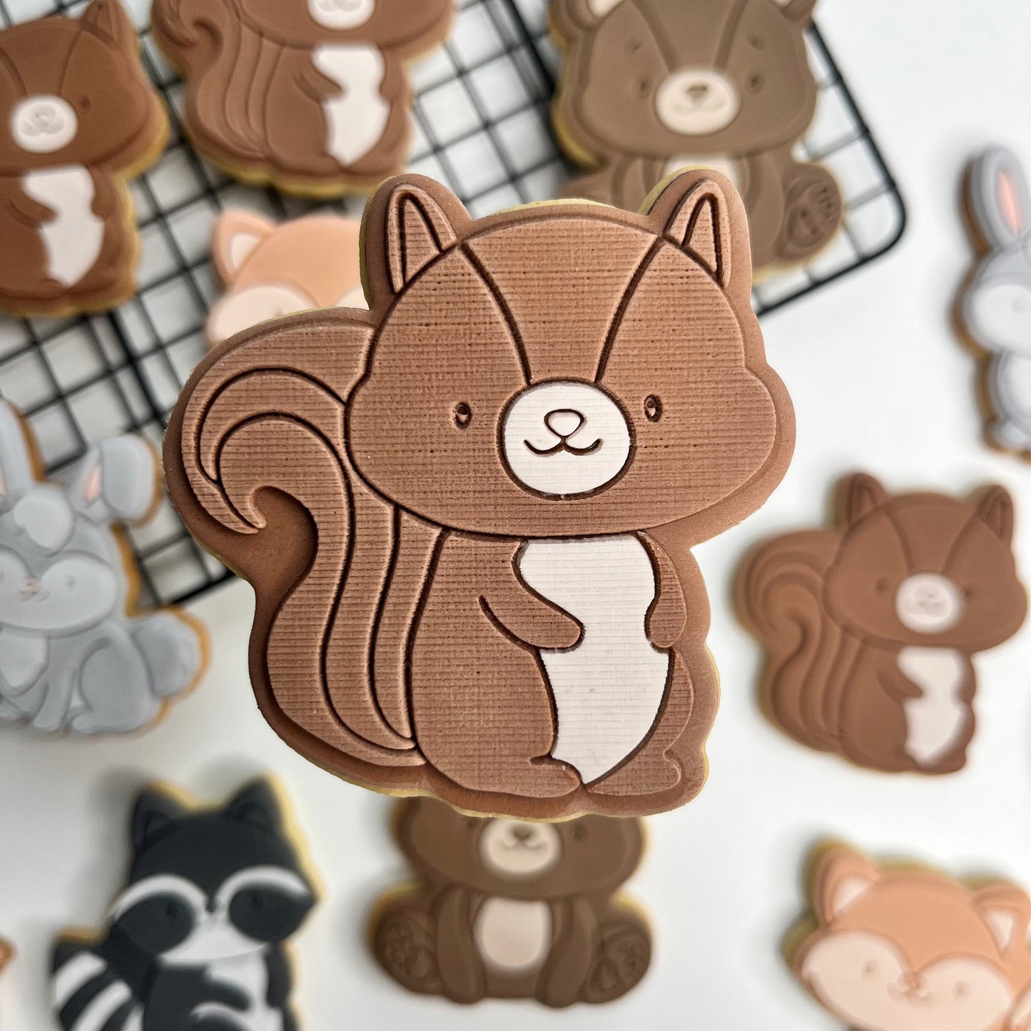 #04 - Squirrel